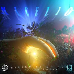 Micelio (feat. La selva loops) (Explicit)