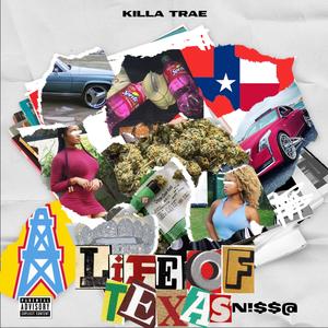 Life Of A Texas N!$$@ (Explicit)