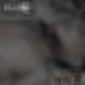 (Puruloid) Accidentally Crushed to a Wall by a Car