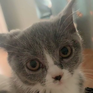 无敌小可爱