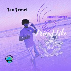 Friend Like Me (feat. Teo $ensei) [Karate Chopped] [Explicit]