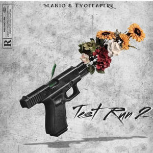 Test Run 2 (feat. Seanio) (Explicit)