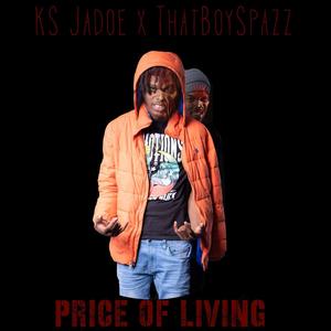 Price Of Living (Da Grassroots Remix) [Explicit]