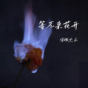 等不来花开