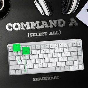 Command a (Select All)