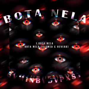 BOTA NELA (SLOWED & REVERB)