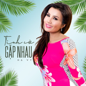 Tình Cờ Gặp Nhau