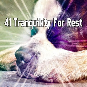 41 Tranquility For Rest