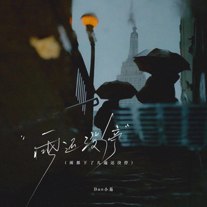 雨还没停 (雨都下了几遍还没停)封面