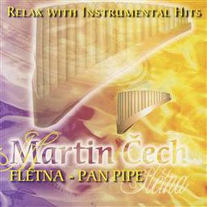 Relax With Instrumental Hits - Pan Pipe