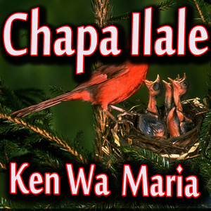 Tunajisikizia Reggea Tu