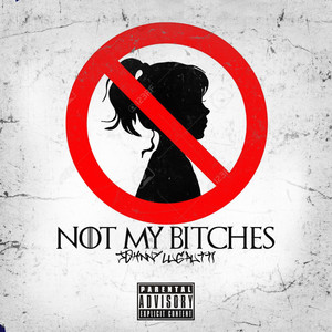 Not My *****es (Explicit)