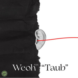 Taub (Explicit)