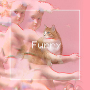 Furry