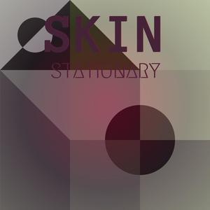 Skin Stationary