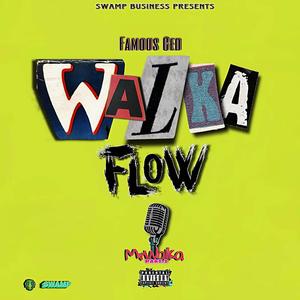 WALKA Flow (Explicit)