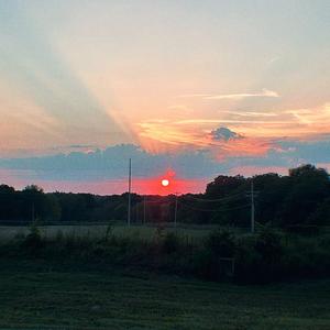 sunrise (feat. Crystallisee) (Mart!n Remix)