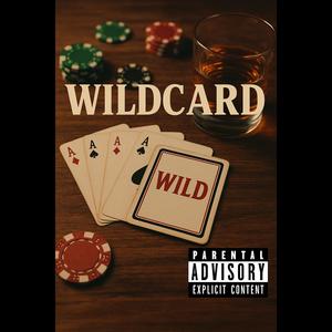 Wild Card (feat. NSG Rogue & Fukkit) (Explicit)