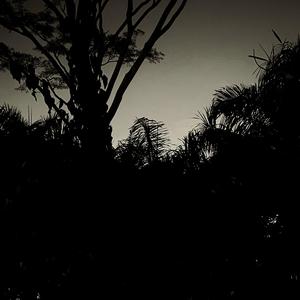 NO SONARÉ EN FM (Unfixed) (Explicit)