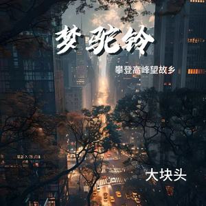 梦驼铃（攀登高峰望故乡）