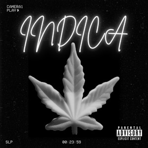 Indica (Explicit)