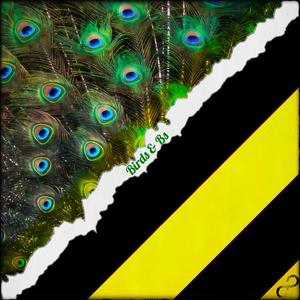 Birds & Bs (Explicit)
