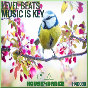 Ibiza Dreams (Radio Edit)