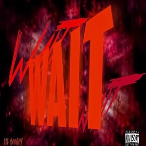 Wait (Explicit)