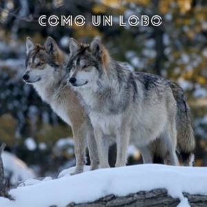Como Un Lobo (Explicit)