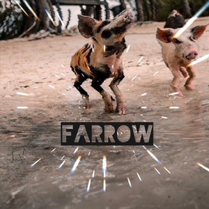 Farrow
