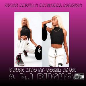 Space Andza`s National Address (feat. Boikie De Big & Dj Bucho) (Explicit)