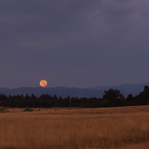 小酷说书 - 这一程(舒缓钢琴)