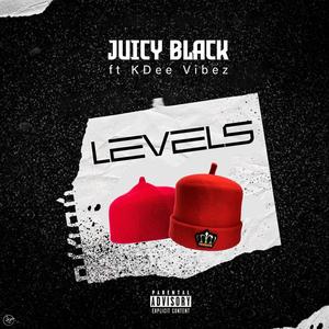 LEVELS (feat. KDee Vibez) (Explicit)