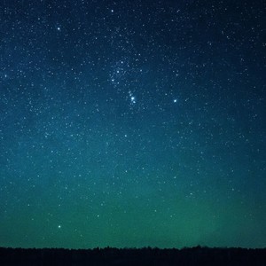 La Vida en Los Trópicos