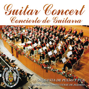 Guitar Concert, Concierto de Guitarra