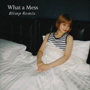 What a Mess (Blimp Remix)