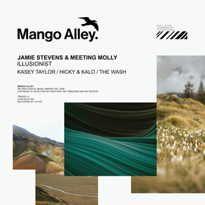 Illusionist (The Wash Remix)