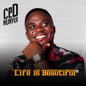 Energy(feat. Savji Damji) (Explicit)