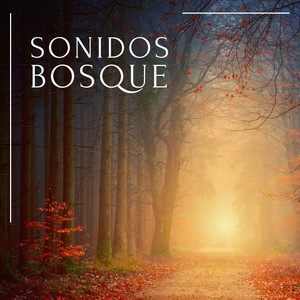 Sonidos Bosque (P02)
