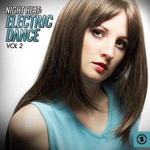 Night Heat: Electric Dance, Vol. 2