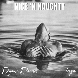 Nice 'n Naughty (Explicit)