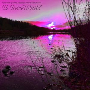 InorUOut? (feat. luvvshai) (Explicit)