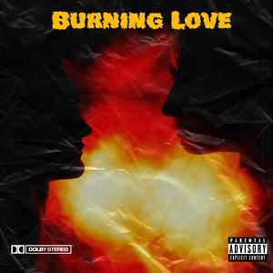 Burning Love (feat. Sandra, Tori Amos & Giuseppe Verdi) [Explicit]