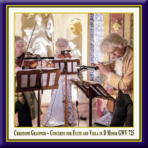 Graupner: Concerto for Flute & Viola in D Minor, Gwv 725 (Live)