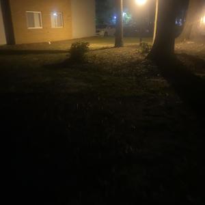 like that (Explicit)