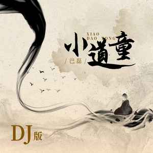 小道童 (DJ版)