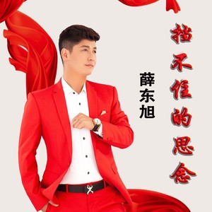 挡不住的思念 (DJ默涵版)