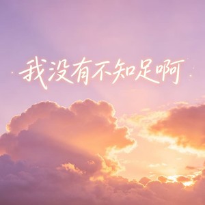 我没有不知足啊 (烟嗓版)