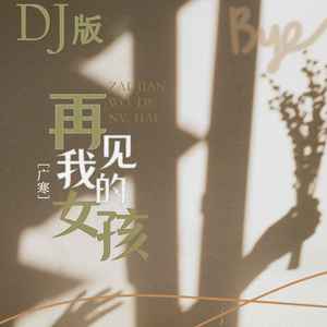 再见我的女孩 (DJ版伴奏)