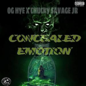 Concealed Emotions (Explicit)